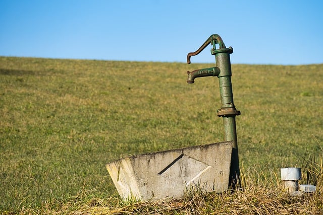 studnu má dnes stále méně lidí
